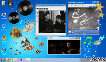a computer screen shows a windows media player