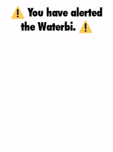 waterbi bambisona waterbi bambisona