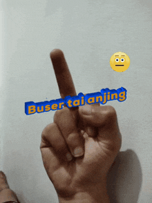 a hand giving the middle finger with the words buser tai anjing written above it