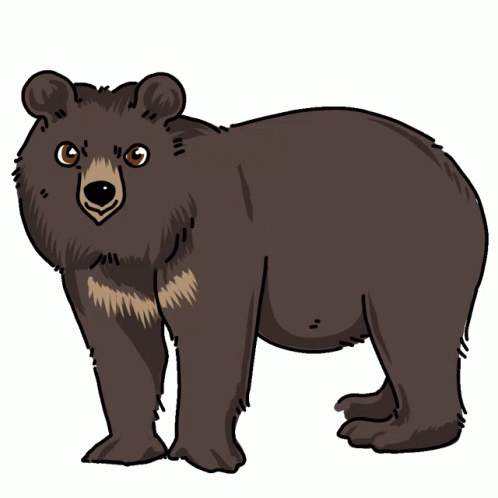 Bear Asiatic Black Bear Sticker - Bear Asiatic Black Bear Himalayan Black  Bear - Discover & Share GIFs