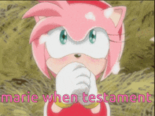 a cartoon of amy the hedgehog with the words marie when testament