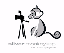 photographer silvermonkeyimages