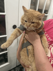 a cat wearing a sweater is being held by a person wearing a shirt that says " but seek "
