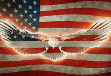 American Flag Bald Eagle GIF