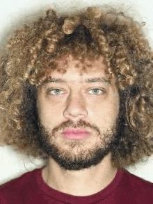 a man with curly hair and a beard is looking at the camera .