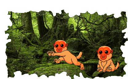 Animated Rain Forest Stickers Sticker - Animated Rain Forest Stickers Stickers