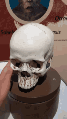 Skull Spinning GIF - Skull Spinning Death GIFs