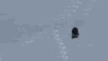 a person is walking in the snow with a blurred background