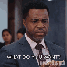 What Do You Want Supt Joe Donovan GIF - What Do You Want Supt Joe Donovan Hudson And Rex GIFs