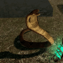 garrys snake