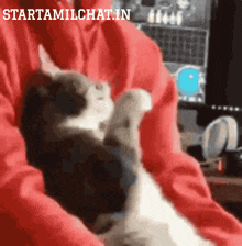 a person in a red sweatshirt is holding a black and white cat with the words starttamilchat.in above it
