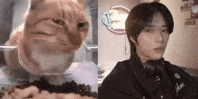 Byuntear Cat GIF - Byuntear Cat Beomgyu GIFs