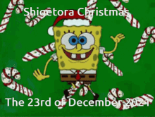 Shigetora GIF - Shigetora GIFs