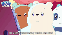 Ice Bears Inner Beauty Can Be Captured Grizzly Bear GIF - Ice Bears Inner Beauty Can Be Captured Ice Bear Grizzly Bear GIFs