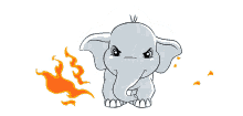 angry elephant