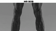 a black and white photo of a man 's muscles with the words `` mr bob '' written above him .