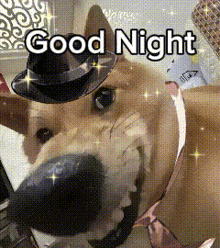 a dog wearing a witch hat and a bow tie is saying good night