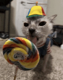 a cat wearing a hat is licking a lollipop that says go on it