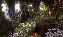 Flowers Forest GIF - Flowers Forest Nature GIFs