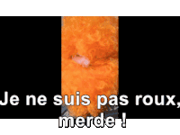 a picture of a fire with the words " je ne suis pas roux merde " on the bottom