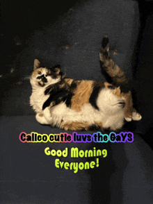 a calico cat is laying on a couch with the words " calico cutie luvs the gays good morning everyone "