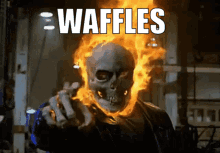 Waffles GIF