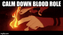 a person is holding a torch in their hand and pointing at it with the words `` calm down blood role '' .