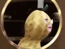 a person with a potato mask on their face is looking in a mirror .