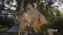 Searching For Something National Geographic GIF - Searching For Something National Geographic The Bug House GIFs