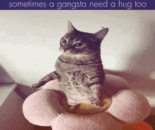 a cat is standing on its hind legs on a flower shaped pillow