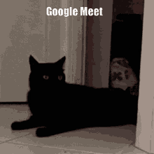 google meet meat google meat cat carter penney