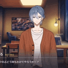 a screenshot of a video game shows a character named netaro