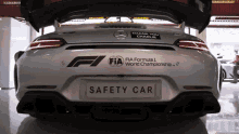 Safety Carlton GIF - Safety Carlton F1 GIFs
