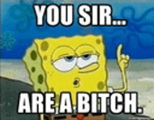 a cartoon of spongebob saying `` you sir ... are a bitch '' .