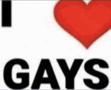 a poster that says i love gays with a red heart