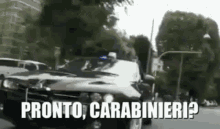 Carabinieri GIF - Carabinieri GIFs