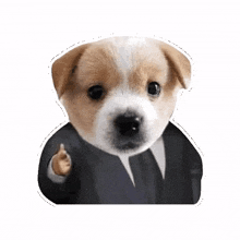 perrito abogado martinez memes cachorro