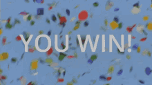 You Win Winner GIF - You Win Winner Win GIFs