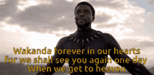 wakanda for ever black panther our hearts see you again