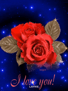 a greeting card that says i love you