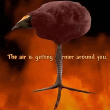 a picture of a bird with the words " the air is getting further around you "