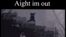 a picture of a cat flying in the air with the words aight im out above it