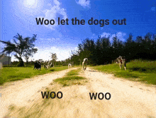 Woo Let The Dogs Out GIF - Woo Let The Dogs Out GIFs