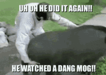 Mog Hog Hog Jog GIF - Mog Hog Hog Jog Filmography GIFs