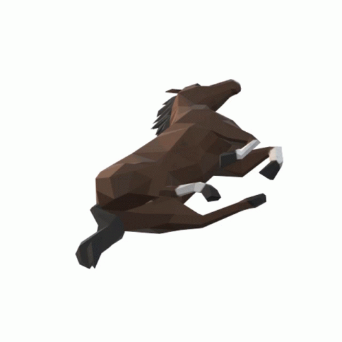 Spinning Horse / Cavalo