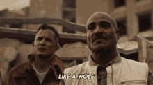 Like A Dog No Like A Wolf Dr Alan Deaton GIF - Like A Dog No Like A Wolf Dr Alan Deaton Teen Wolf The Movie GIFs
