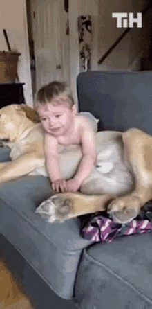 Vomit This Is Happening GIF - Vomit This Is Happening Dog GIFs