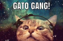 Cat Space Cat GIF