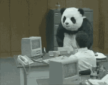 Panda Tired At Work GIF
