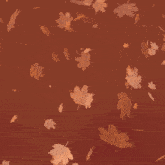 Happy First Day Of Fall First Day Of Autumn GIF - Happy First Day Of Fall First Day Of Fall First Day Of Autumn GIFs